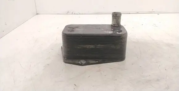 BMW 3 E46 Engine oil radiator 7787698 5989070102 47312