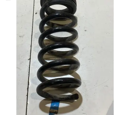 Ford Mustang VI Rear coil spring FR3C5560BC