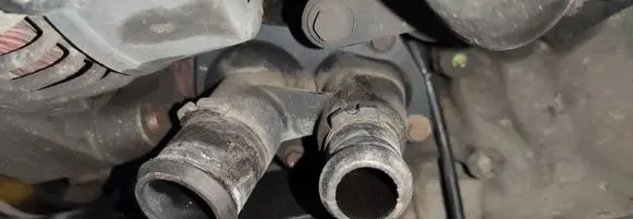 Ford Focus Engine coolant pipe/hose