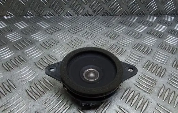 Panel speaker
