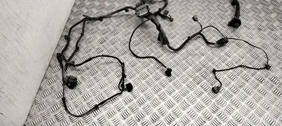 Other wiring loom
