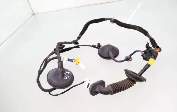 KIA Carens II Rear door wiring loom 916501D000