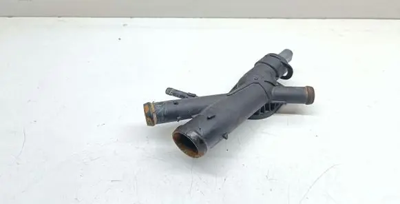 Thermostat/thermostat housing