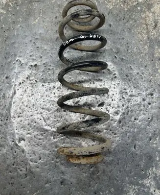 Volkswagen PASSAT B6 Rear coil spring