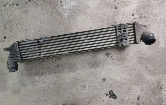 Renault Laguna III Intercooler radiator 144960001RI