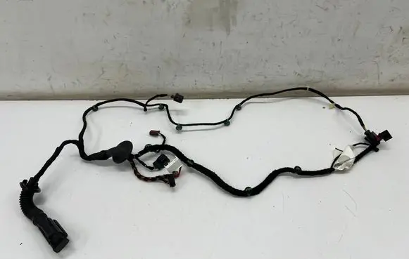 Porsche Taycan 9J1 Rear door wiring loom 9J1971693A