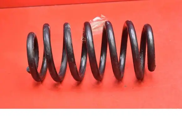 Front coil spring