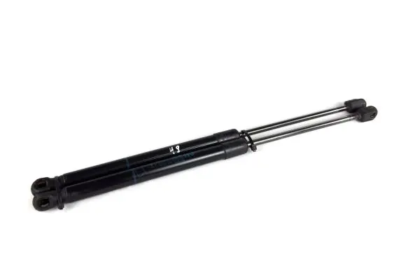 Opel Astra H Tailgate/trunk strut/damper 244638295133