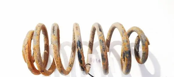 Rear coil spring