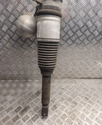 Volkswagen Phaeton Shock absorber/damper/air suspension 3D0616001K