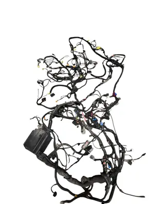 Fiat 500E Other wiring loom P68205204AB