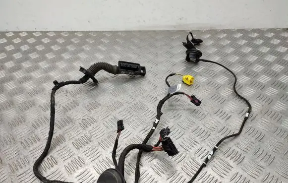 Front door wiring loom