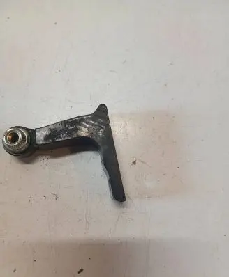 Rear door lower hinge