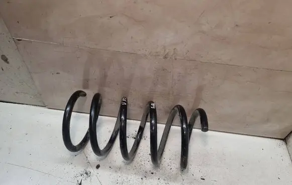 Rear coil spring