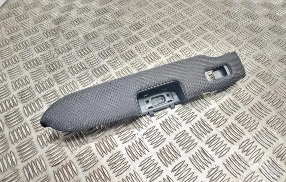 Other rear door trim element