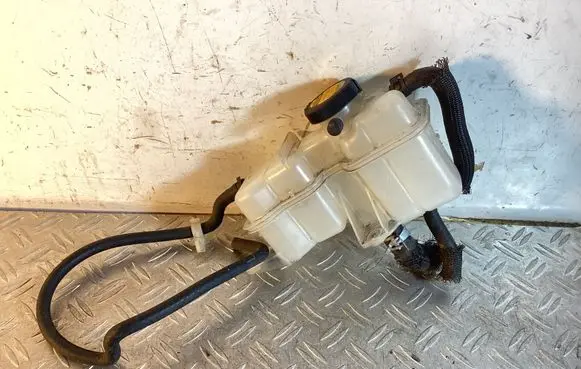 Lexus RX 450H Brake fluid reservoir 