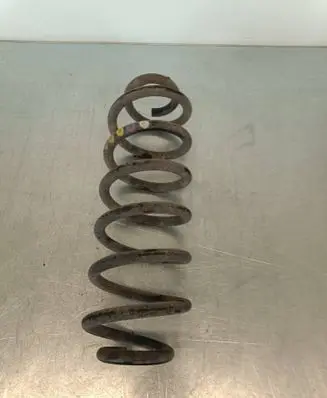 Volkswagen Tiguan Rear coil spring
