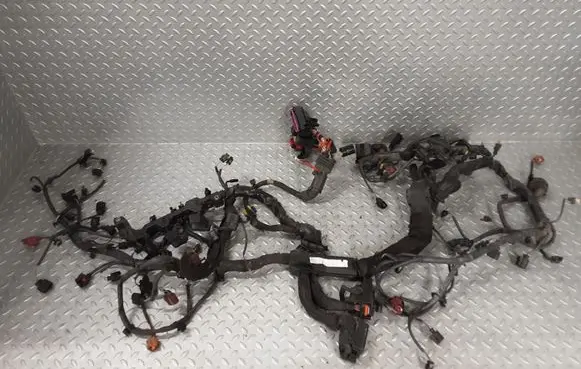 Engine installation wiring loom