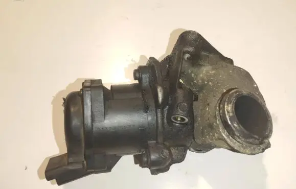 Ford Fiesta EGR valve EN48000
