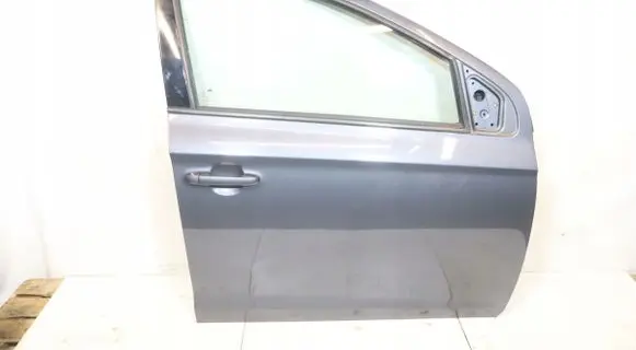 Hyundai i20 (PB PBT) Front door