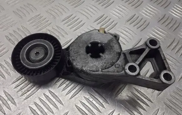 Seat Leon (1P) Alternator belt tensioner pulley 04873010-001