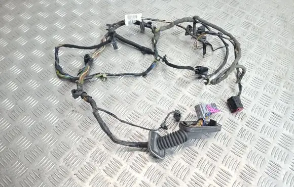 Front door wiring loom