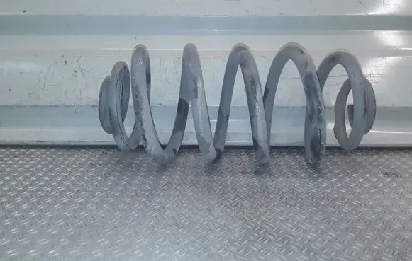 Opel Insignia A Rear coil spring 