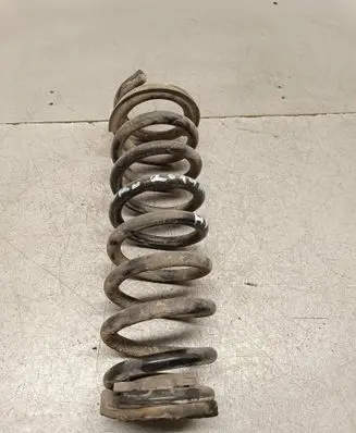 Rear coil spring