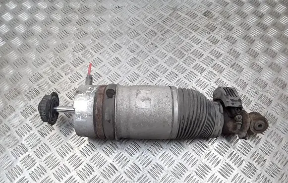 Audi Q7 4L Rear shock absorber/damper 7l8616019