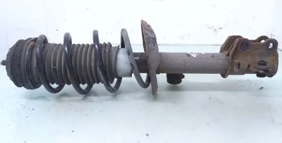 Fiat Punto (188) Front shock absorber with coil spring