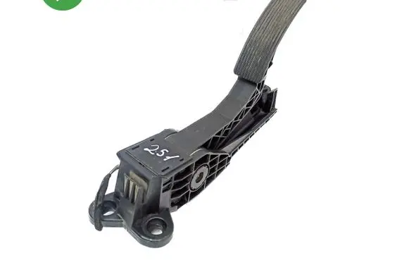 Mercedes-Benz R W251 Accelerator throttle pedal A1643000004 ZGS010