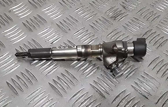 Renault Kadjar Fuel injector H8201100113 166006212R