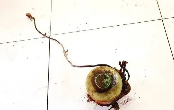Skoda Fabia Mk2 (5J) Power steering pump 6R0423156