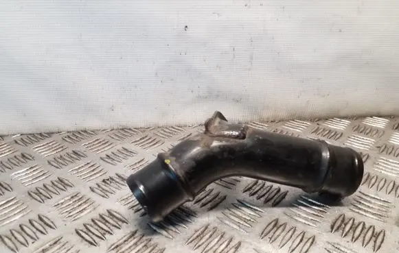 Nissan Juke I F15 Engine coolant pipe/hose