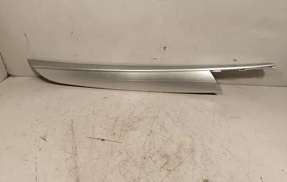 BMW X5 E70 Front door trim bar 4993001