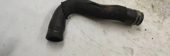 Citroen Berlingo Engine coolant pipe/hose