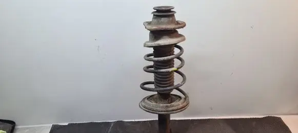 Fiat Doblo Front shock absorber with coil spring 51755248