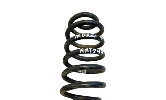 Rear coil spring