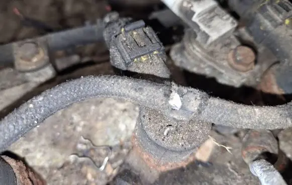 Fiat Doblo Fuel injector 0445110083