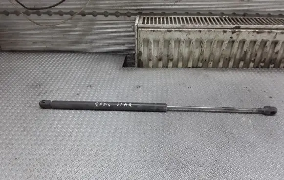 Tailgate/trunk strut/damper
