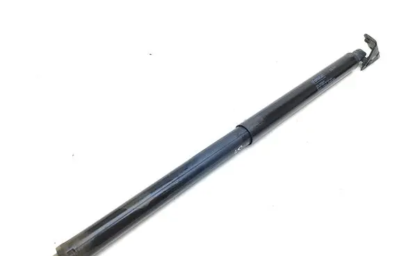 Ford Edge II Tailgate/trunk strut/damper FT4BR402A74AB 748806S990N