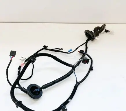 Tesla Model 3 Other wiring loom 206796600A