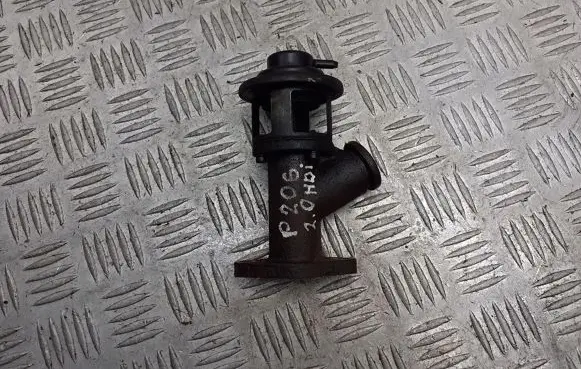 Peugeot 206 EGR valve