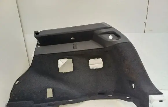 Lexus NX Trunk/boot side trim panel 6473078040