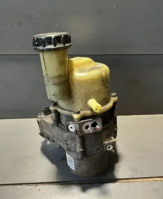 Dacia Logan II Power steering pump 491108089R
