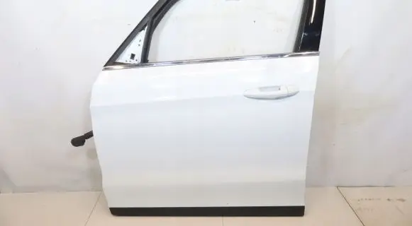 Ford S-MAX Front door 