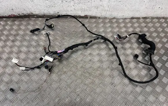 Tesla Model X Front door wiring loom 103243280F