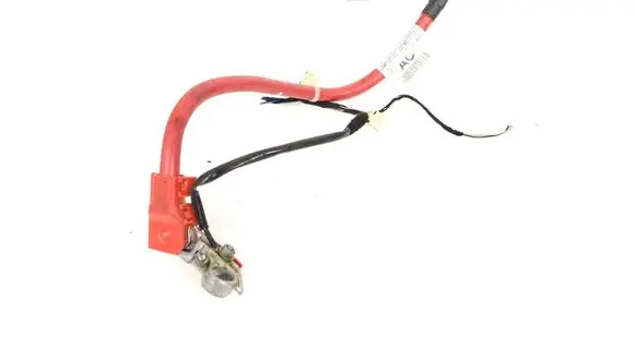 Positive wiring loom