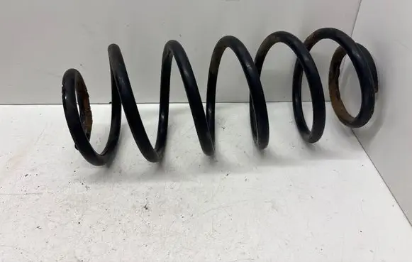 Rear coil spring