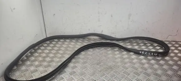 XPeng P7 Front door rubber seal 
